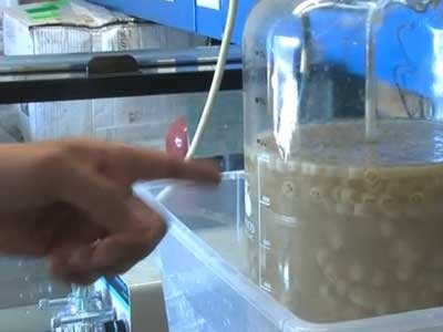 Bill Gates: Vị cứu tinh của nhân loại ảnh 4